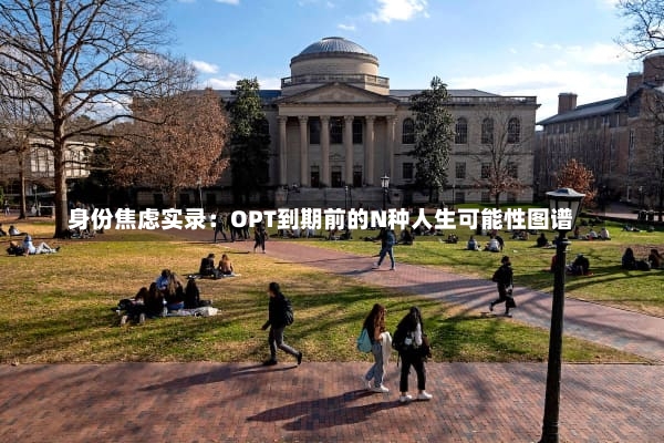 身份焦虑实录：OPT到期前的N种人生可能性图谱-第1张图片